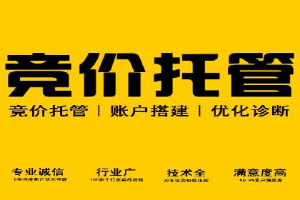 SEM托管服务在房地产行业的营销策略探讨